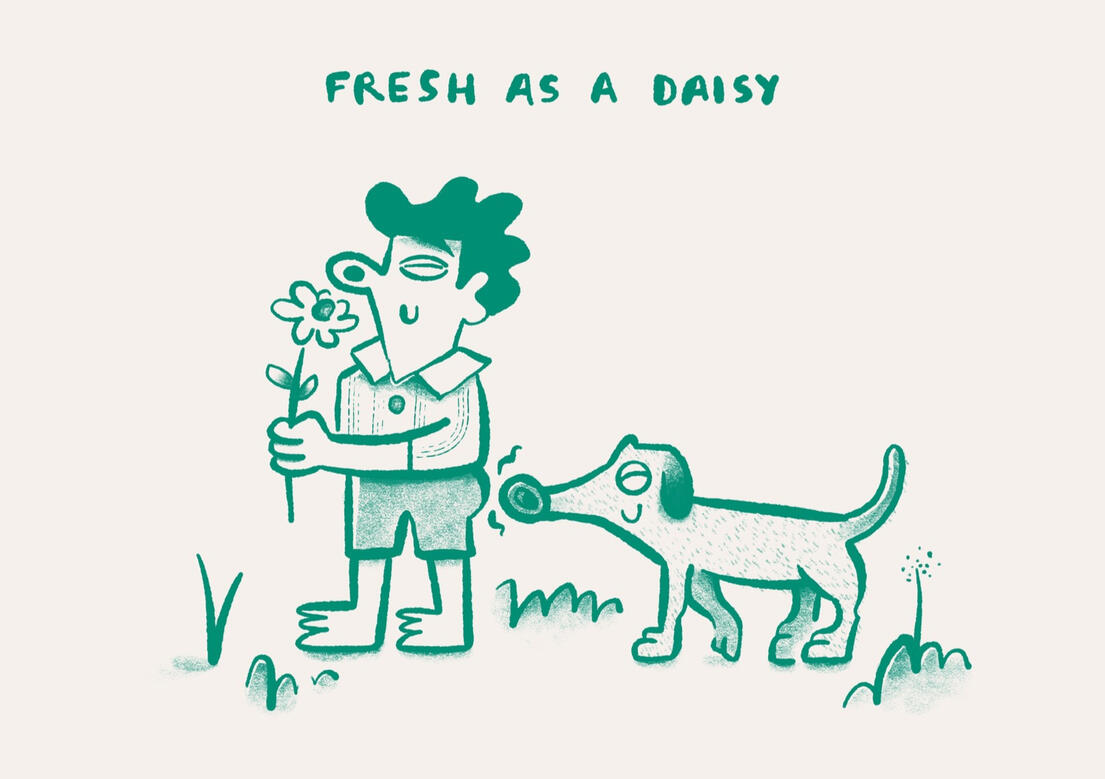 Fresh as a daisy